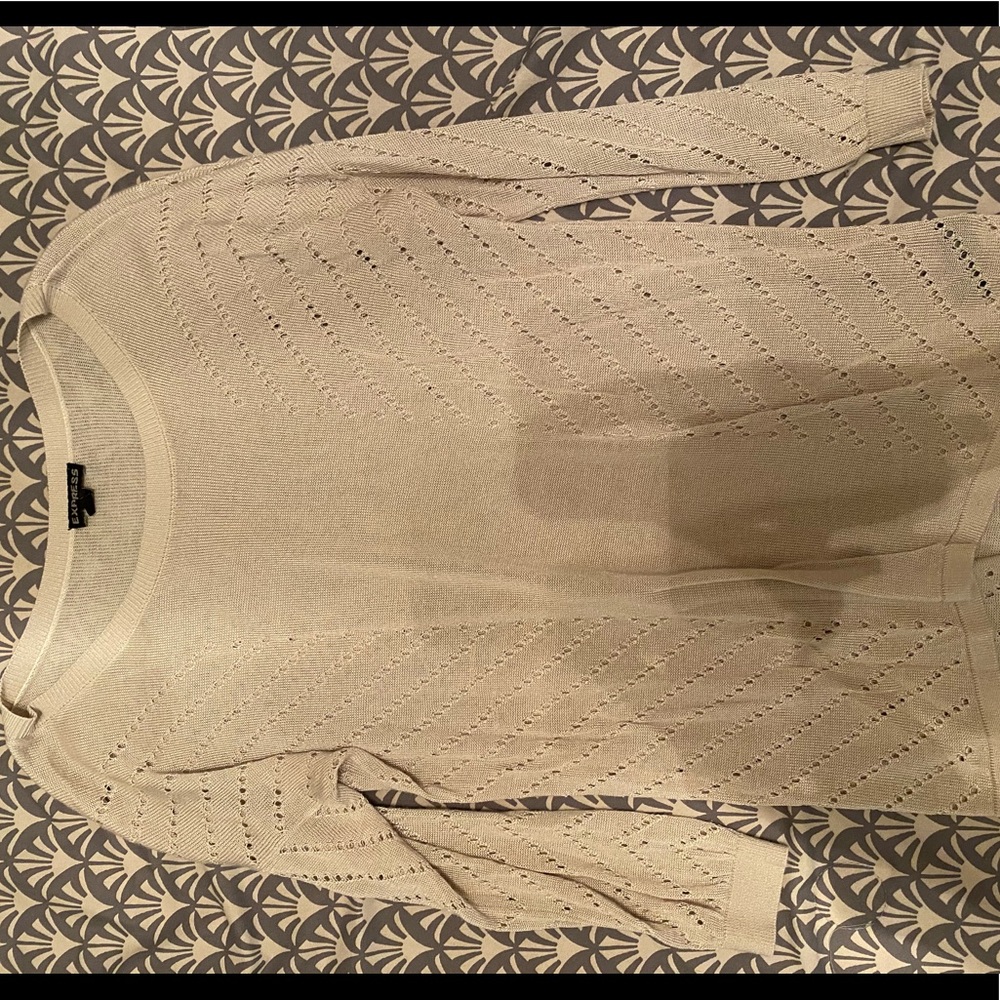Express Thin Sweater. Size S